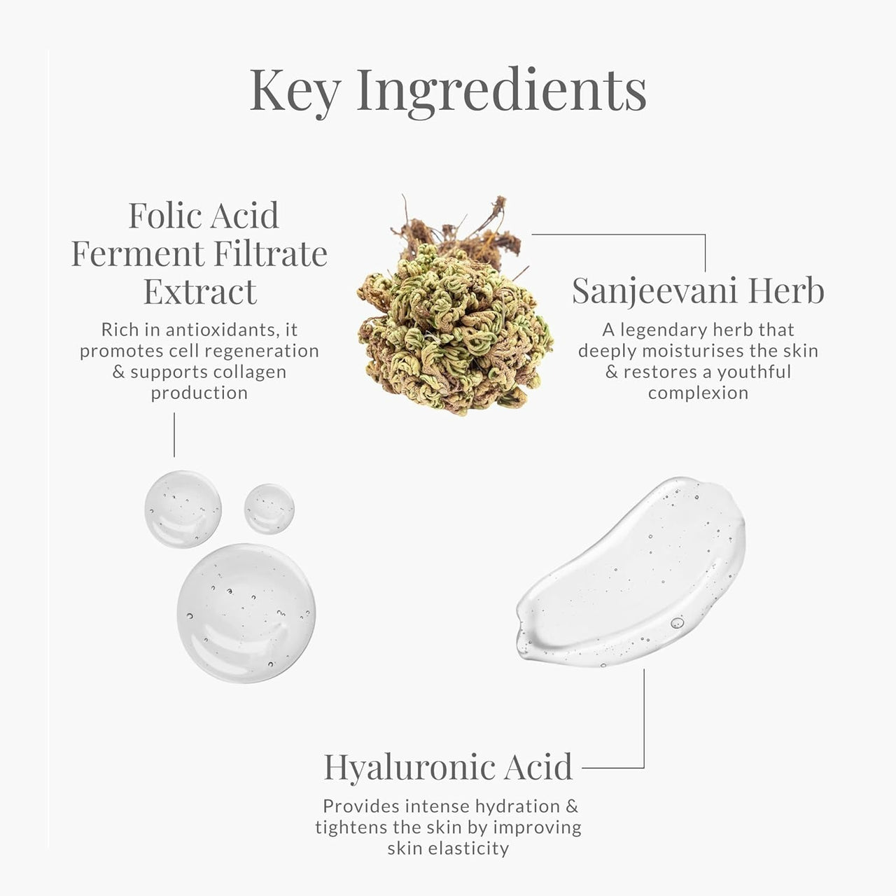 Forest Essentials Advanced Sanjeevani Beauty Elixir - Distacart