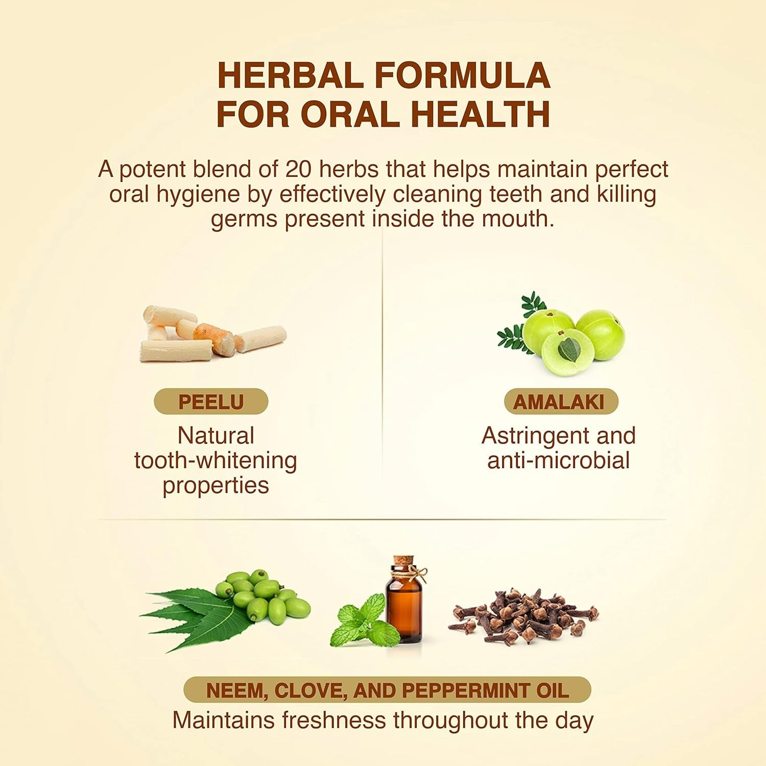 Maharishi Ayurveda Ayurdent Classic Toothpaste - Distacart