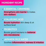 Thumbnail for Dot & Key Barrier Repair Hydrating Gentle Face Wash For Dry, Normal & Sensitive Skin With Hyaluronic & Rice Water - Distacart