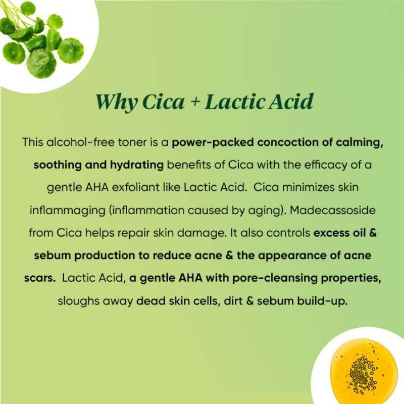 Dot & Key Cica Calming Skin Clarifying Toner - Distacart