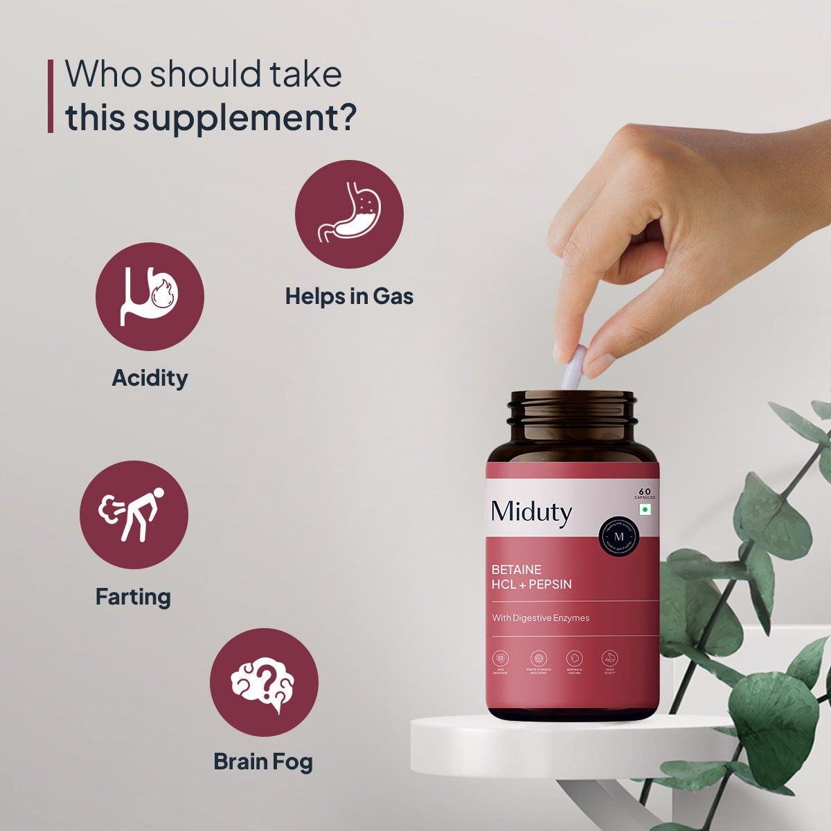 Miduty by Palak Notes Betaine HCL + Pepsin Capsules - Distacart