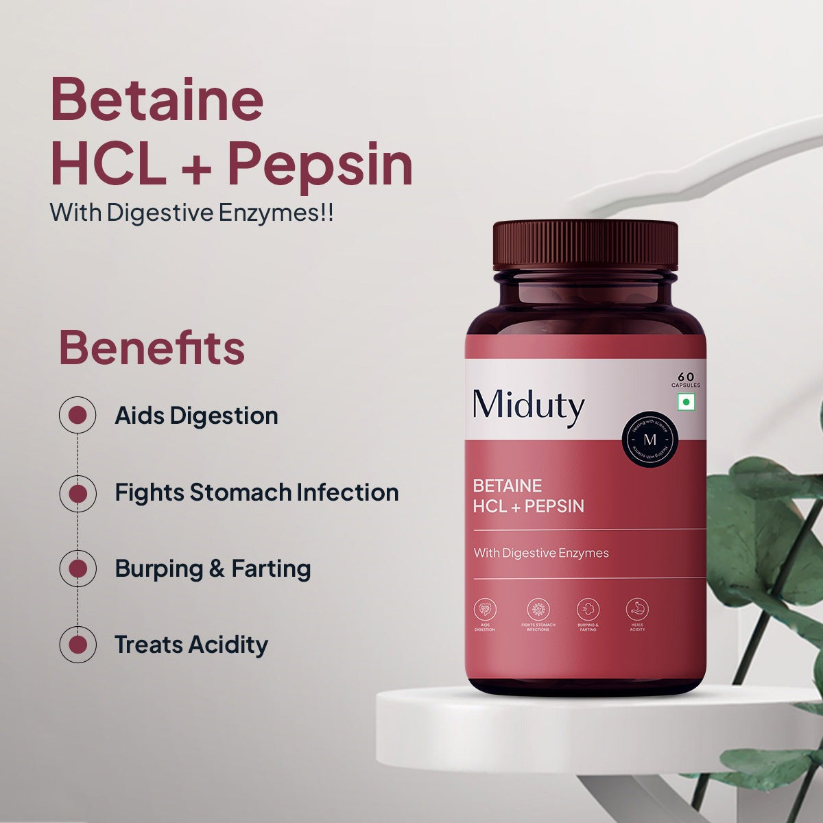 Miduty by Palak Notes Betaine HCL + Pepsin Capsules - Distacart
