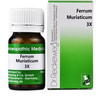 Thumbnail for Dr. Reckeweg Ferrum Muriaticum Tablets