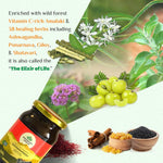Thumbnail for Organic India Organic Chyawanprash - Distacart