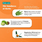 Thumbnail for Himalaya Herbals Pilex Tablets - Distacart