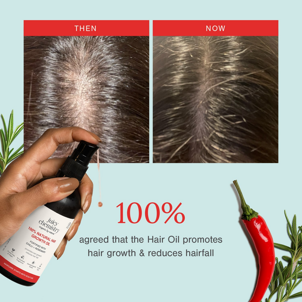 Juicy Chemistry Chilli Horsetail and Blackseed Hair Oil - Distacart