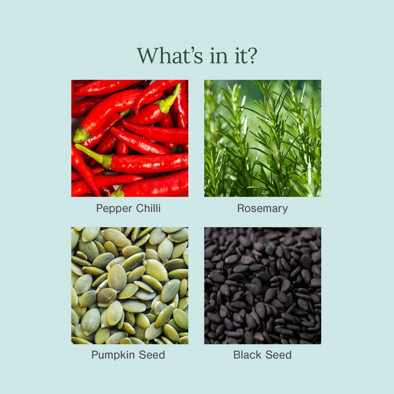 Juicy Chemistry Chilli Horsetail and Blackseed Hair Oil - Distacart