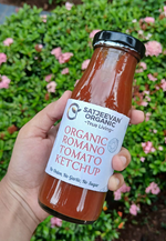 Thumbnail for Satjeevan Organic Romano Tomato Ketchup - Distacart