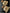 flower_273