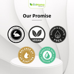 Thumbnail for download - 2024-10-08T121039.856