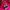 flower_247