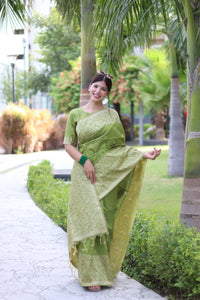 Thumbnail for Aastha Fashion Mehendi Woven Handloom Raw Silk Saree with Blouse - Distacart