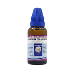 Thumbnail for Father Muller Gnaphalium Polycephalum Dilution - Distacart