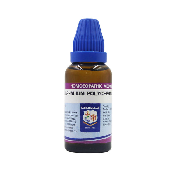 Father Muller Gnaphalium Polycephalum Dilution - Distacart