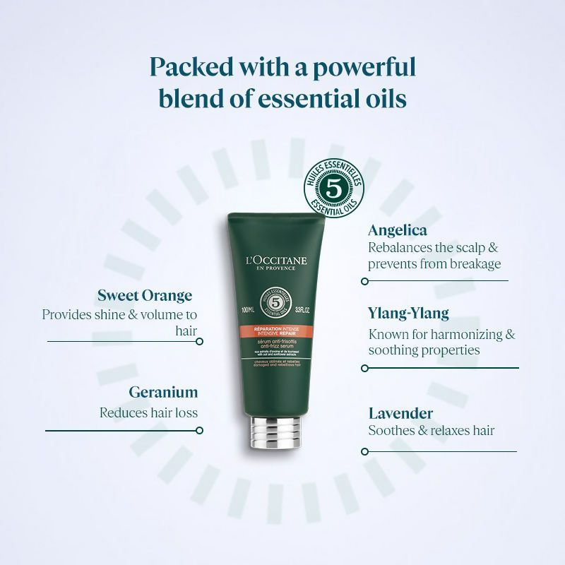 download - 2024-09-23T120358.161