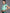 Adidas Tiro Striped Crop T-shirt - Distacart