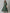 AURELIA Green & Pink Ethnic Motifs Pure Cotton Maxi Ethnic Dress