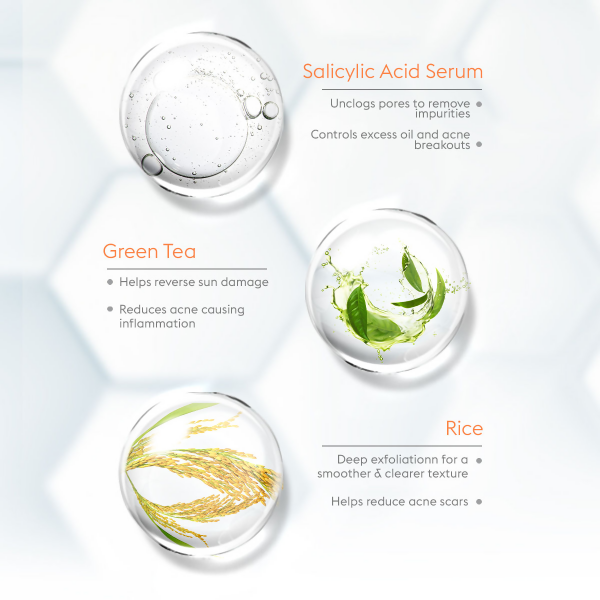 download - 2025-02-05T162451.087