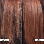 Thumbnail for Plum Hibiscus & Ceramides Shampoo For Long, Healthy Hair - Distacart