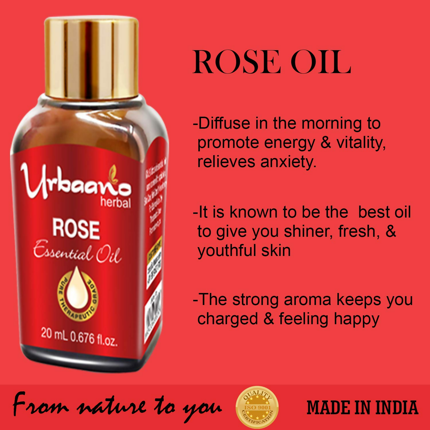 download - 2025-05-06T183032.147