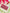 Joban Fashion Bridal Purse - Multicolor