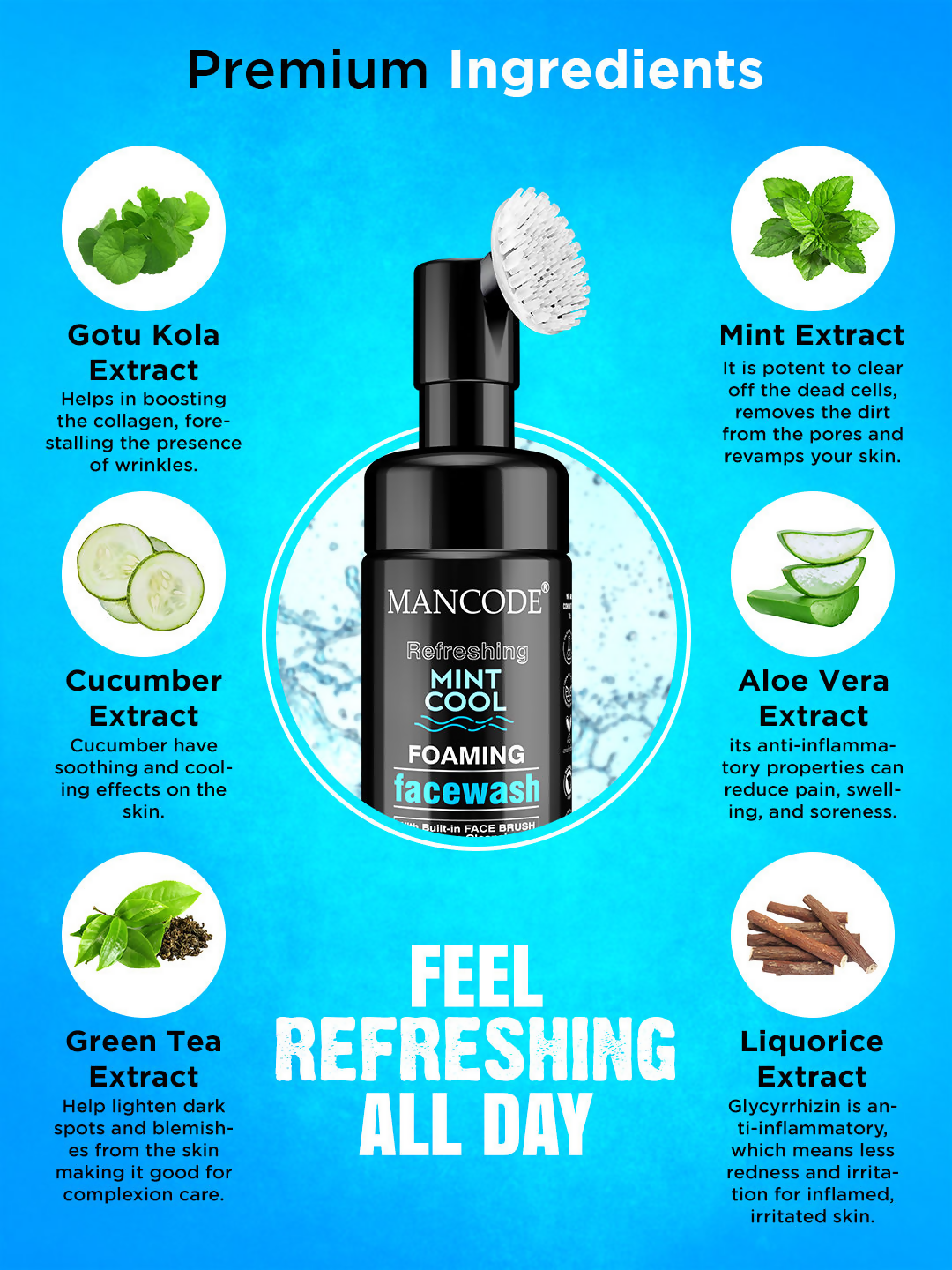 download - 2025-01-23T153533.429