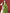 Anouk Ethnic Motifs Embroidered Kurta with Trousers & Dupatta - Distacart