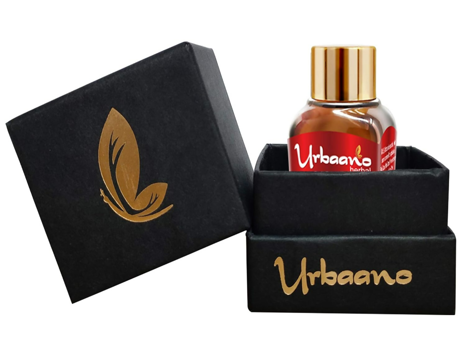 download - 2025-05-06T183039.016