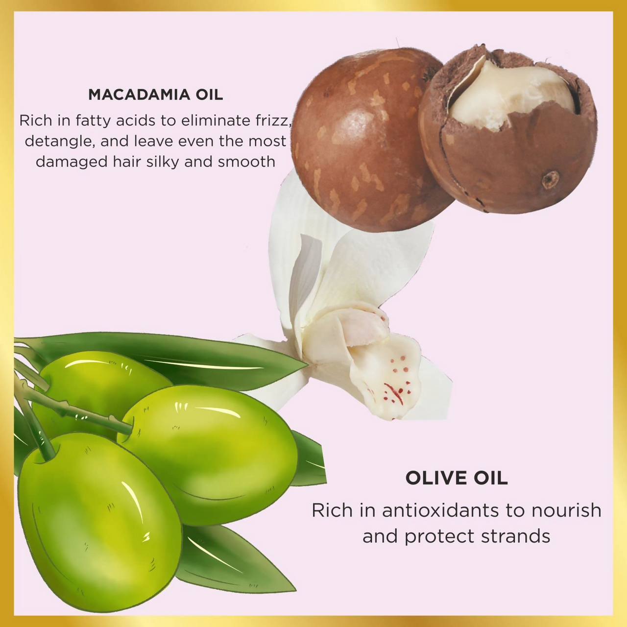 HASK Macadamia Oil Moisturizing Deep Conditioner - Distacart