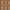 Nxtgen-2000x2000_5b8f9310-3c62-469b-af88-f2c2bba6786f