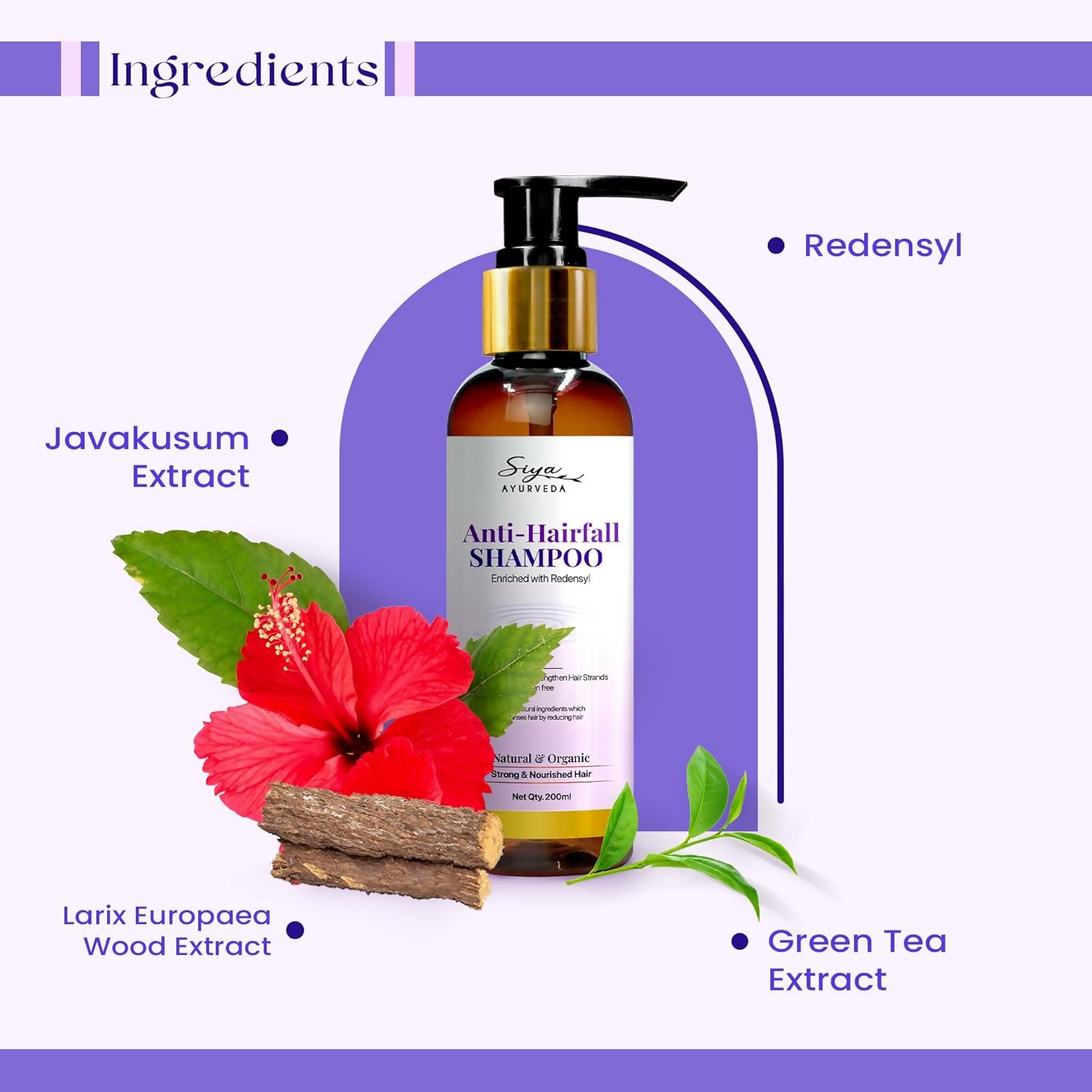 download - 2024-11-27T161335.352