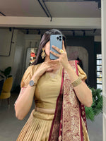 Thumbnail for Vastranavya Traditional Jacquard Vichitra Silk Lehenga Choli - Chiku - Distacart