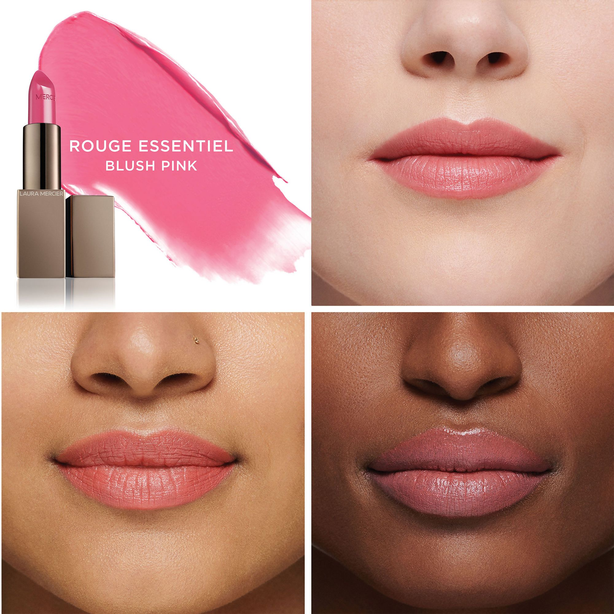 download - 2025-02-01T162503.361