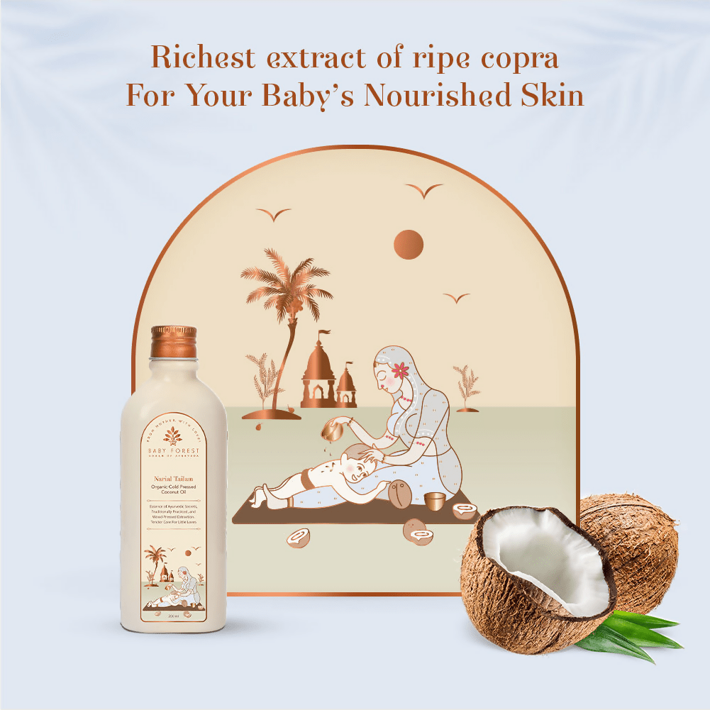 download - 2024-11-12T172303.930