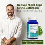 Thumbnail for Saw Palmetto_5