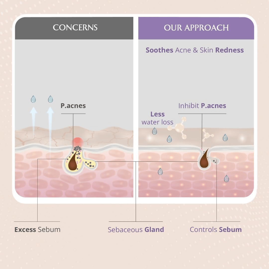 download - 2024-11-13T150137.292