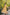 Juniper Yellow Floral Printed Georgette Maxi Dress With Beads Kantha Work & Sequins At Neckline - Distacart