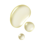 Thumbnail for download - 2025-02-03T101734.336