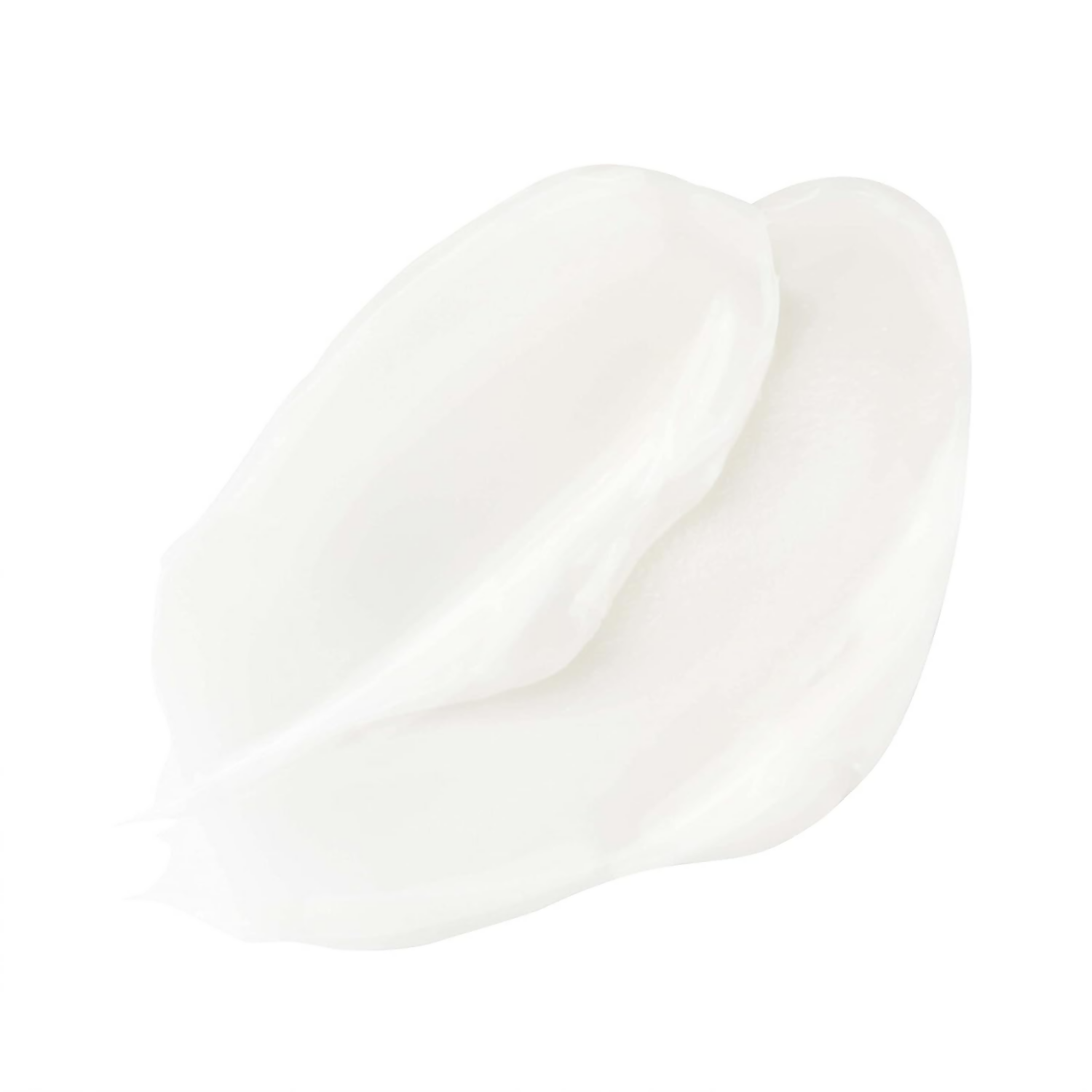 download - 2025-01-08T175308.267