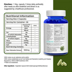 Thumbnail for Saw Palmetto_2