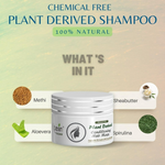 Thumbnail for Ktein Natural Chemical Free Plant Derived Shampoo & Conditioner Combo - Distacart