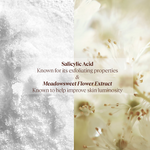 Thumbnail for download - 2024-09-20T123551.247