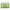 Aravi Organic Vitamin C Green Tea Night Gel Cream - Distacart