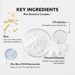 Thumbnail for download - 2024-11-14T182909.804