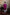 Falling Raw Silk Magenta Perple Rajyog Kurta Set By Hilo Design