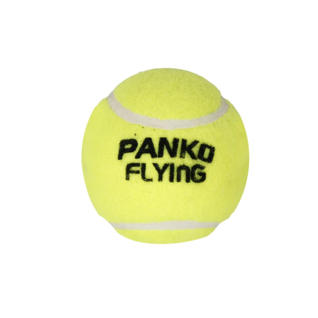 Panko Wooden Cricket Set - Distacart