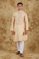 Thumbnail for Bluesaanchi Men's Chandery Silk Light Khaki Embroidered Kurta Set - Distacart