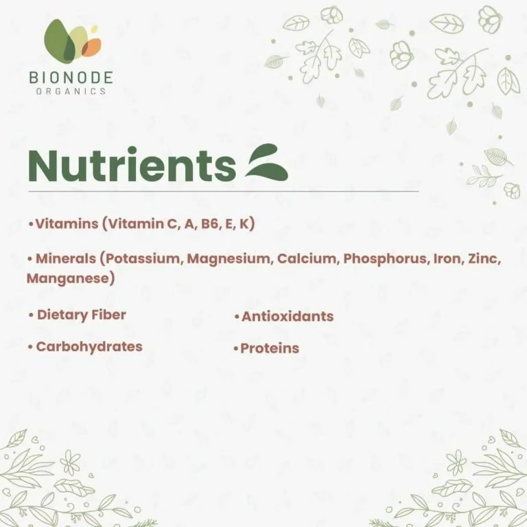 download - 2024-12-19T145746.045