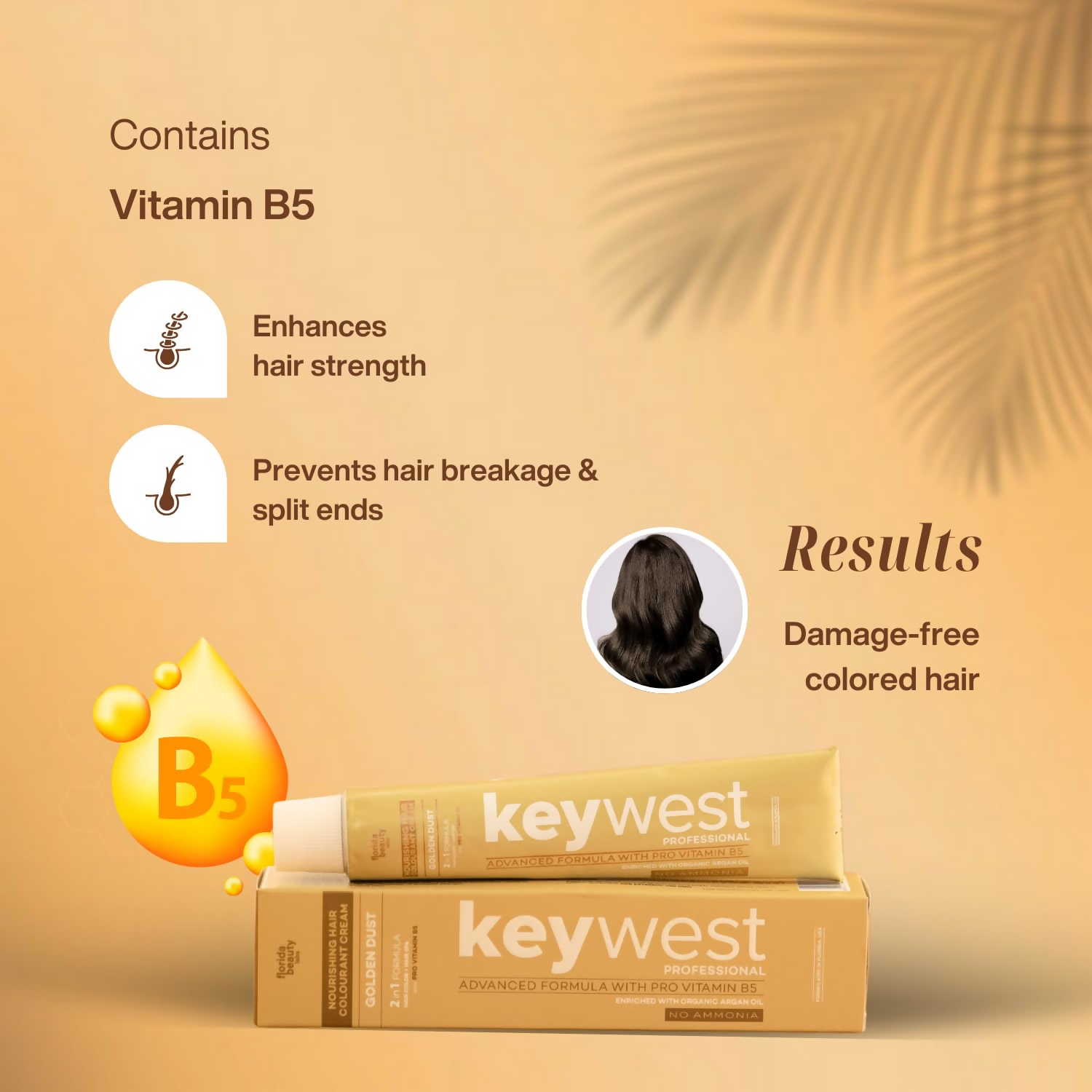 download - 2024-10-15T114358.537