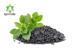 Thumbnail for Ayurvedix Nutritious Basil Seeds - Distacart